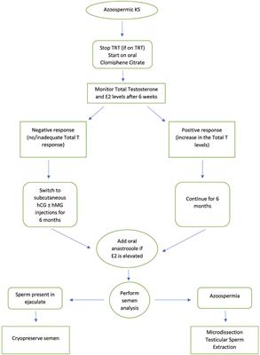 How Successful Is Surgical Sperm Retrieval in Klinefelter Syndrome?